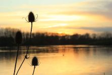 sunset jan.jpg